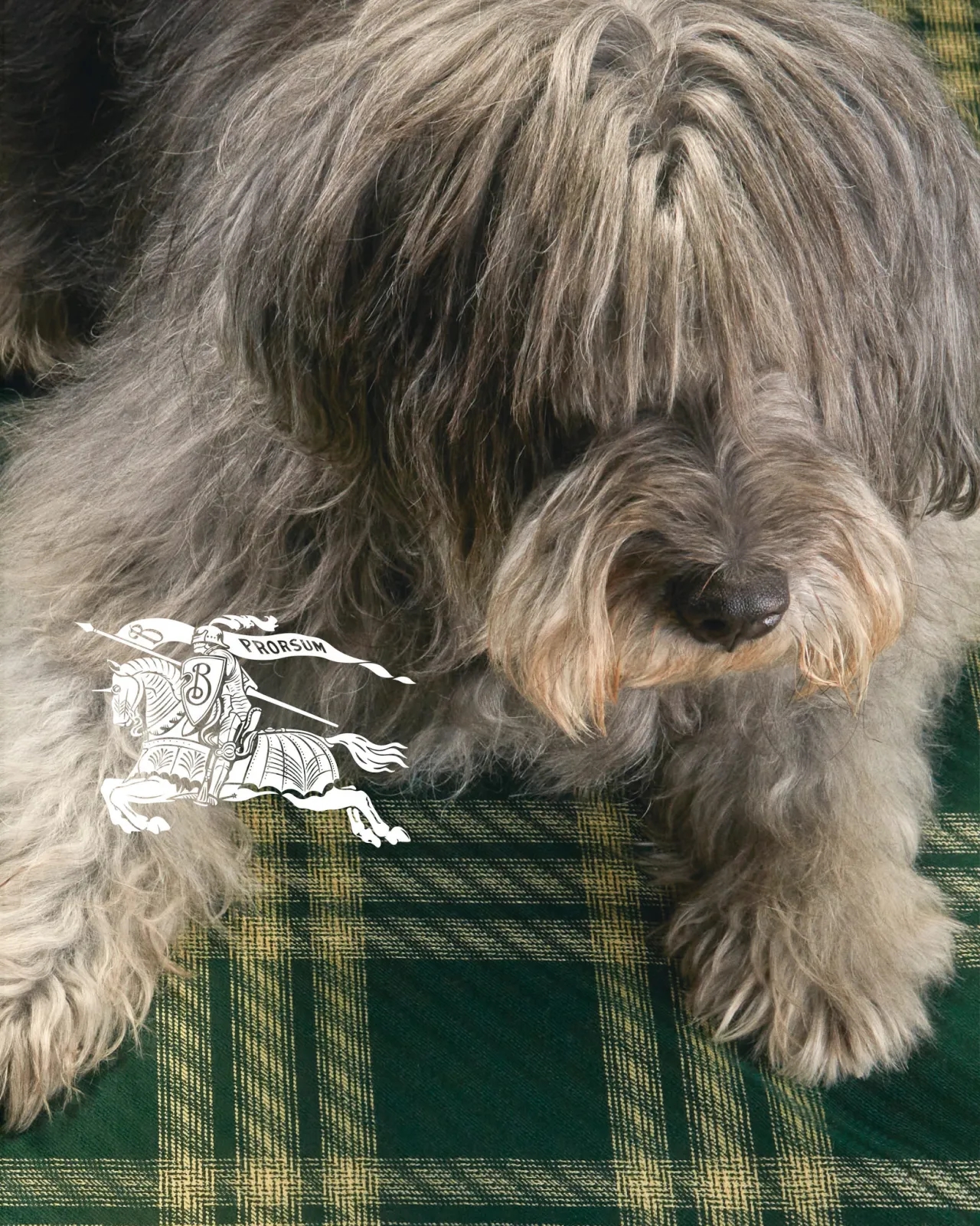 Burberry, Burberry Daniel Lee, Burberry festive