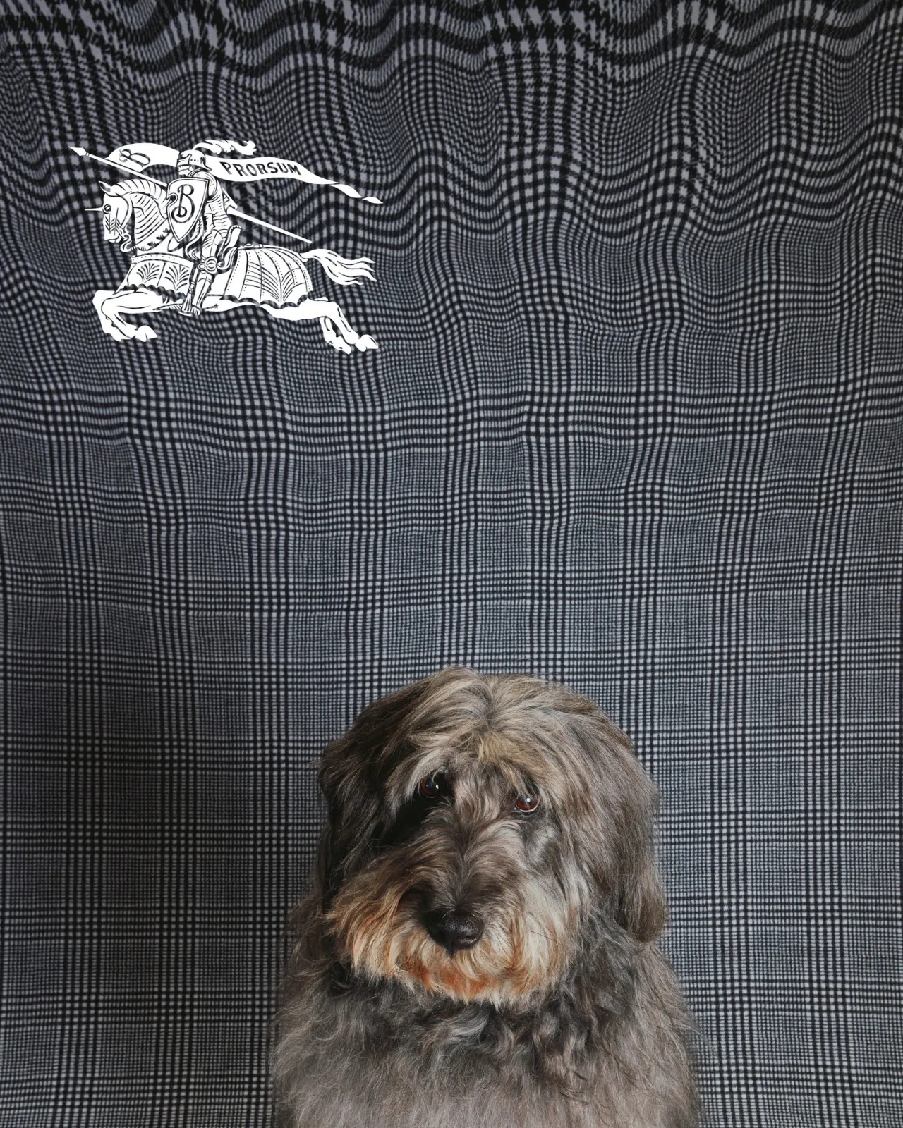 Burberry, Burberry Daniel Lee, Burberry festive