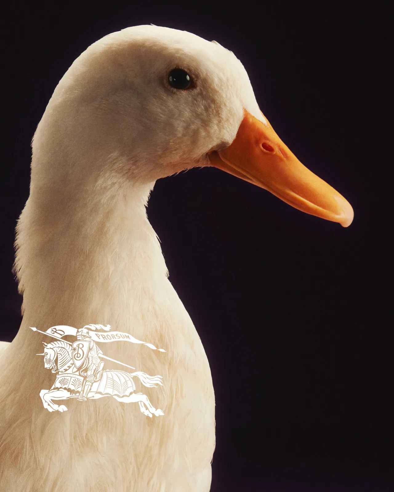 Burberry, Burberry Daniel Lee, Burberry festive