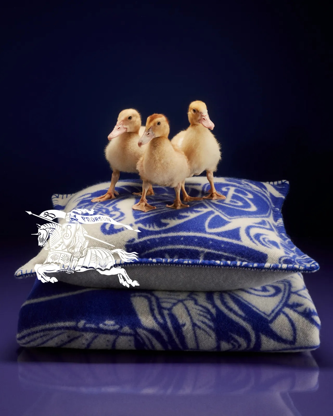 Burberry, Burberry Daniel Lee, Burberry festive