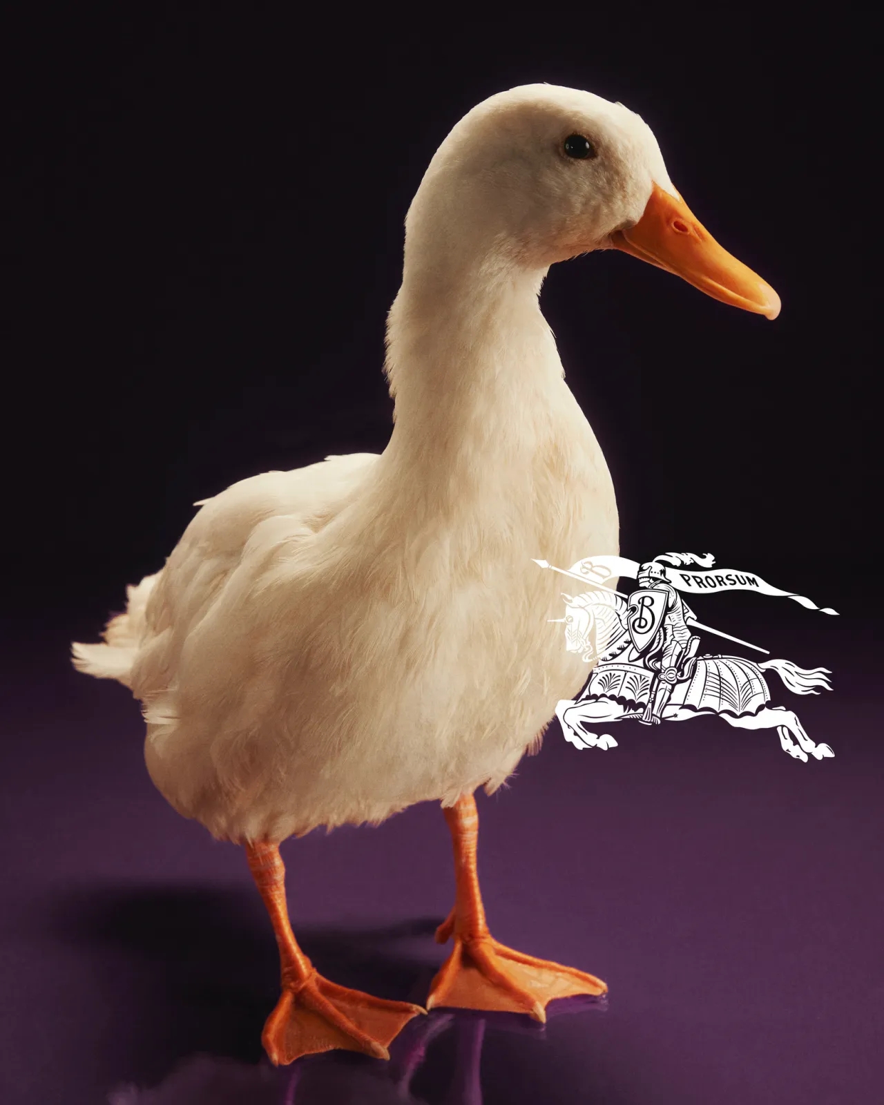 Burberry, Burberry Daniel Lee, Burberry festive