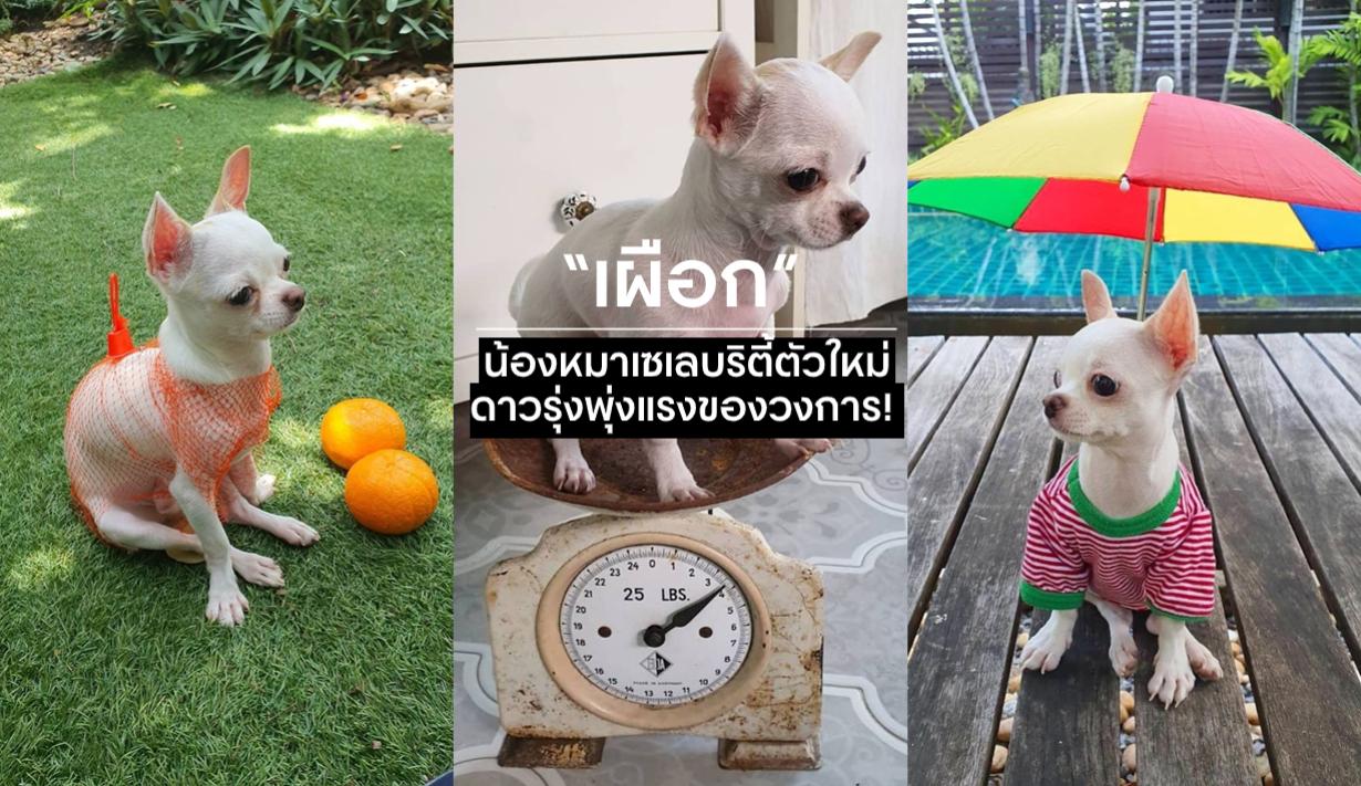 รูปที่2